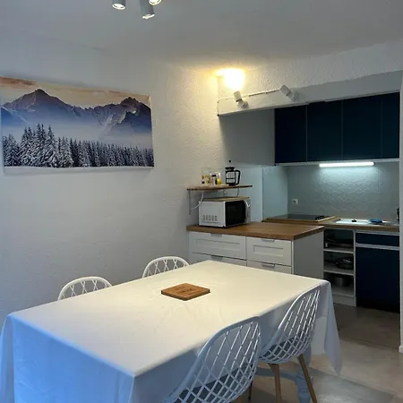 Centre Ville, Vue Montagne Et Au Pied Du Torrent, 1 Acces Par Jour Apartment *