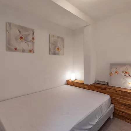 Centre Ville, Vue Montagne Et Au Pied Du Torrent, 1 Acces Par Jour Cauterets