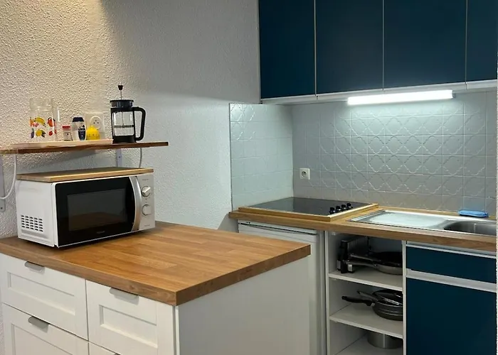 Centre Ville, Vue Montagne Et Au Pied Du Torrent, 1 Acces Par Jour Apartment Cauterets