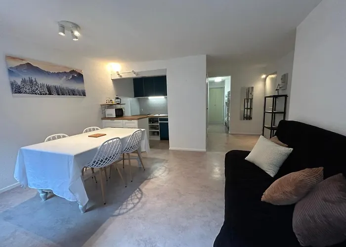 Centre Ville, Vue Montagne Et Au Pied Du Torrent, 1 Acces Par Jour Apartment *