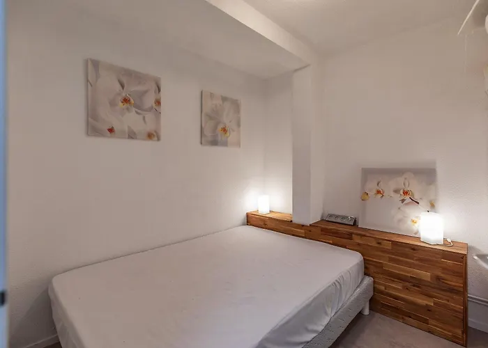 Centre Ville, Vue Montagne Et Au Pied Du Torrent, 1 Acces Par Jour Cauterets